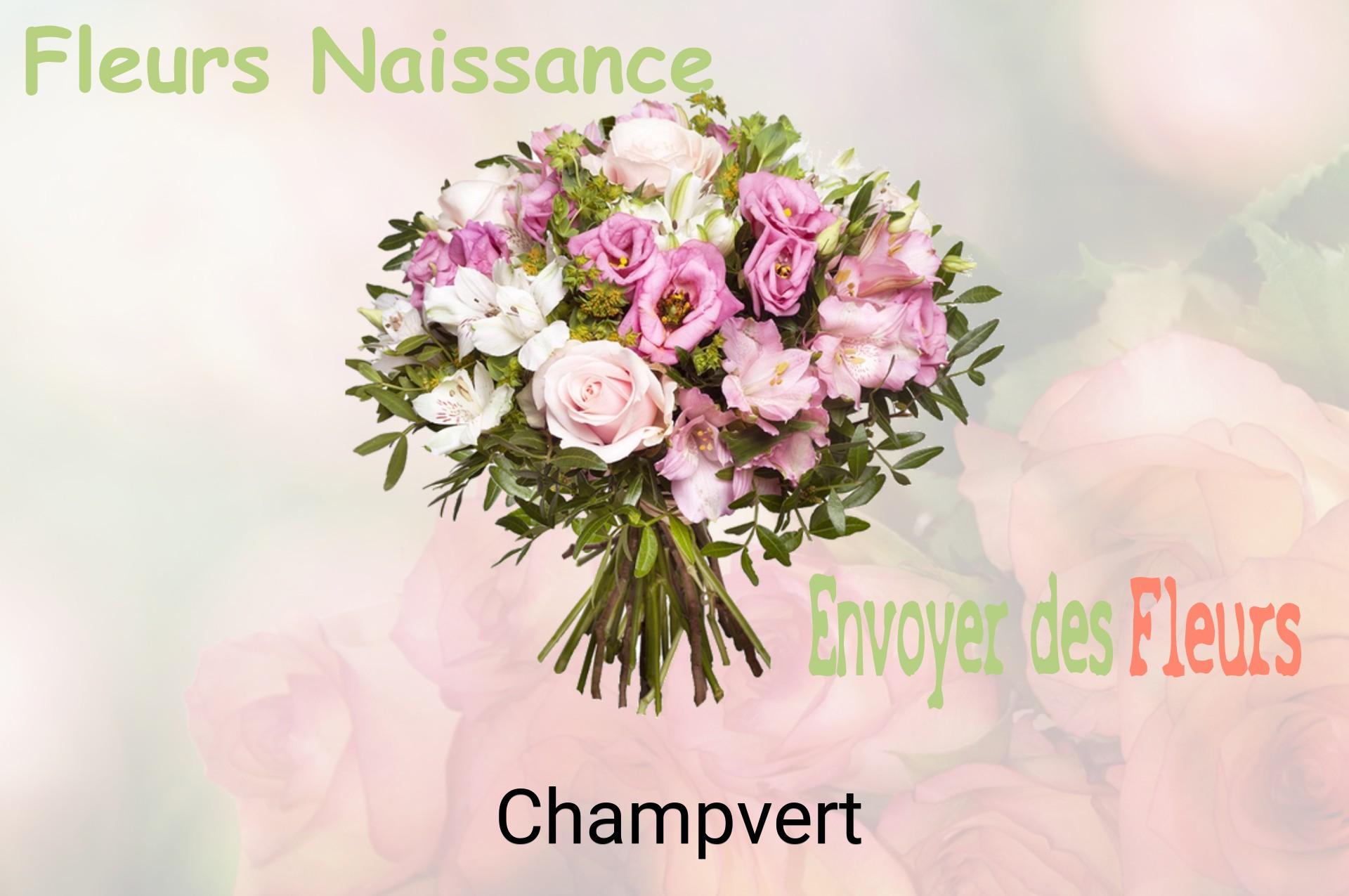 Bouquet de fleurs de naissance livré à Champvert
