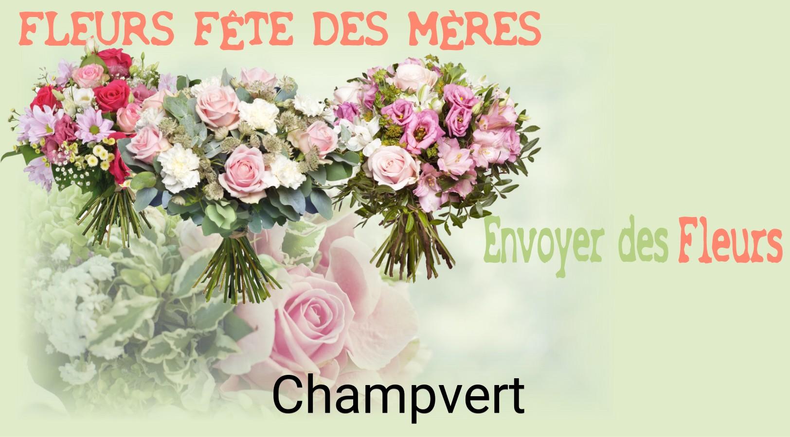 Bouquet de Fête des Mères livré à Champvert